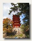 Can you stand another shot of the 5 story pagoda? IMG_6740